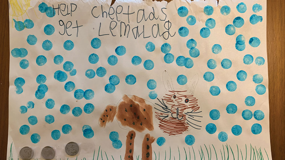 Ava’s Lemonade Stand for the Cheetahs