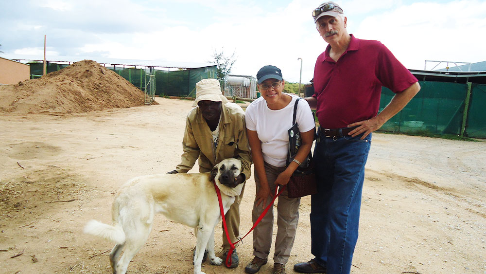 Eulogy for Cappuccino “Cheena”- Goodbye to one of Namibia’s First AI Dogs!