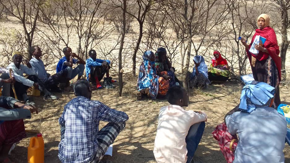 Futuri agricoltori dell'Africa in Somaliland – Partenariati per la conservazione