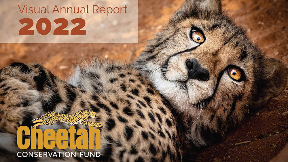 Visual Annual Report – 2022