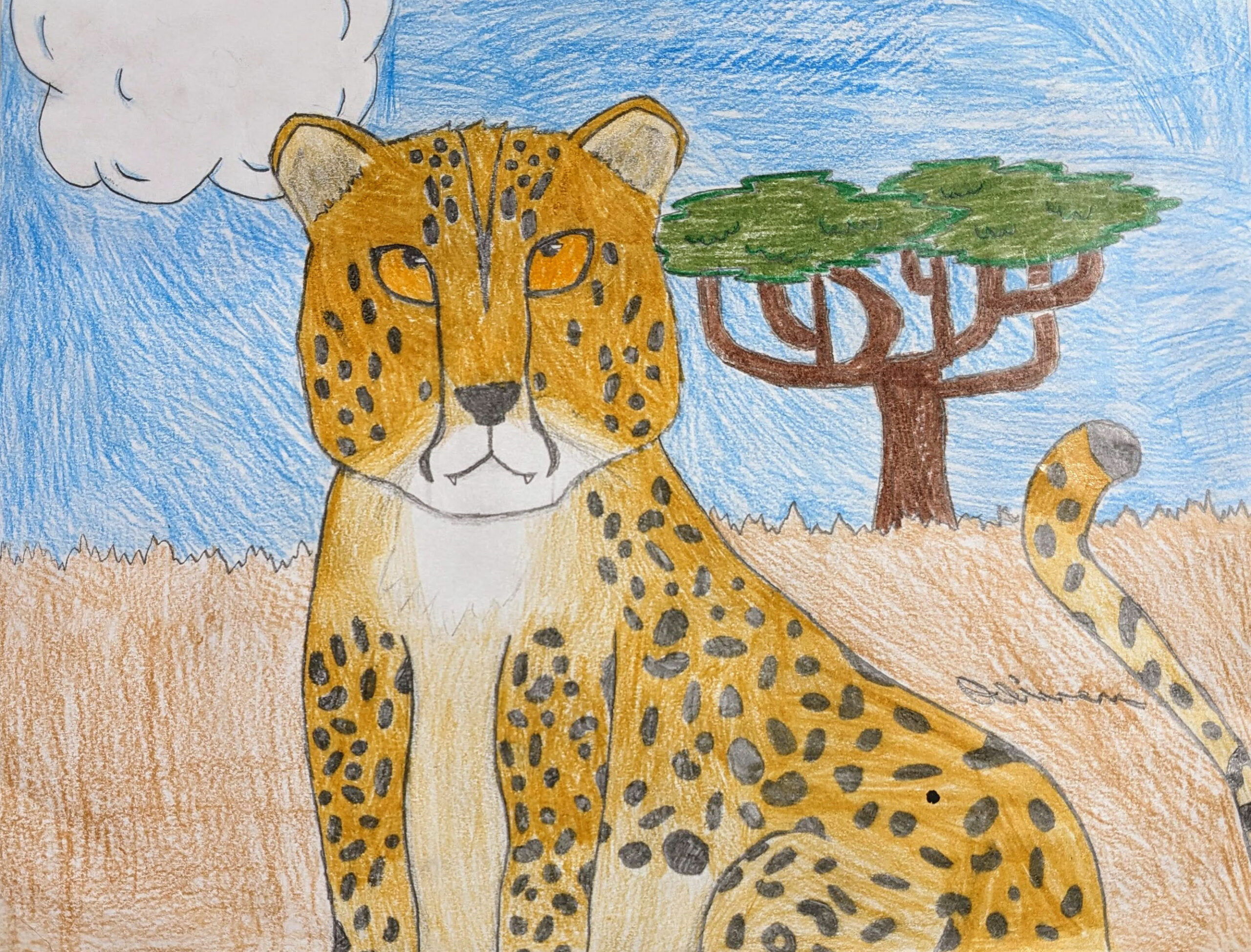Children cheetah coloring worksheet 1445070 Vector Art at Vecteezy