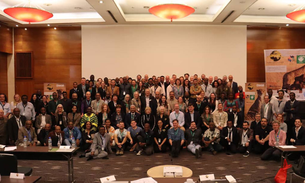 First Global Cheetah Summit Concludes with Key Conservation Commitments