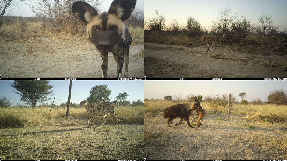 Conservation potential in Namibia’s central-eastern landscape