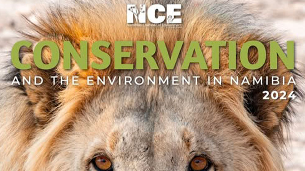 Cheetah Conservation Fund Featured in Conservation and the Environment in Namibia