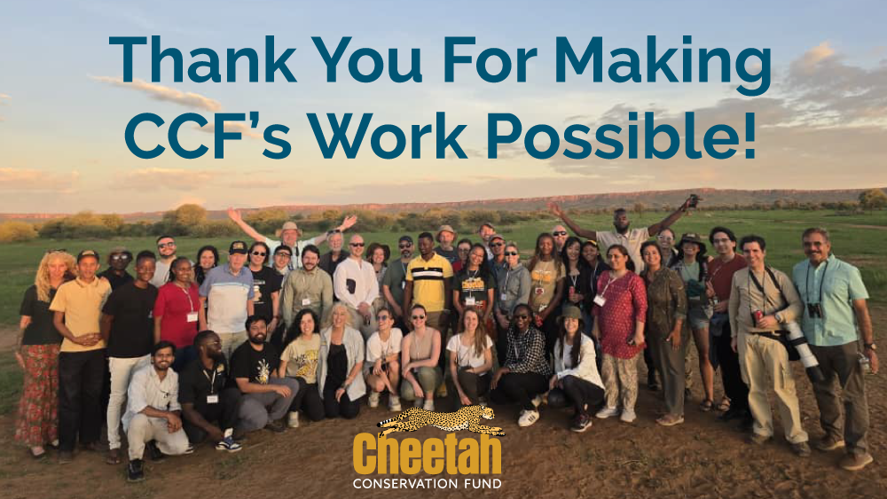 Cheetah Conservation Fund Resolutions for 2025