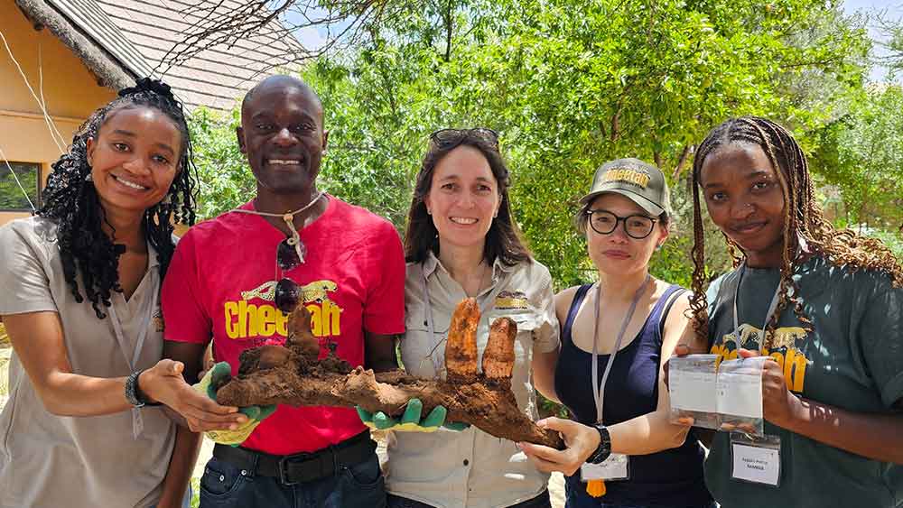 The Plant That Breaks Bricks: A Biologist’s Quest for Hydnora