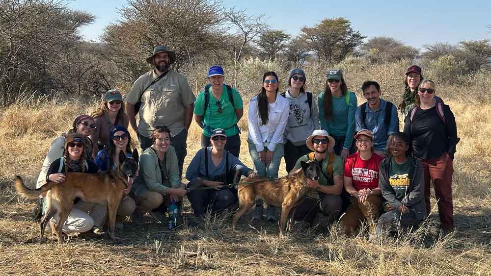 Sniffing Out Stories with the Scat Detection Dog Team