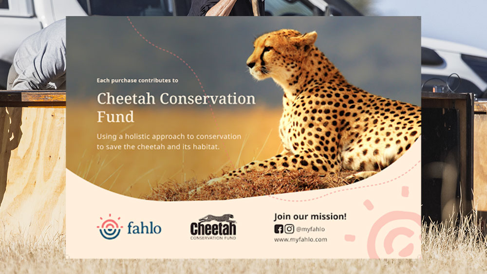 A New Way to Follow the Fastest Cat on Earth