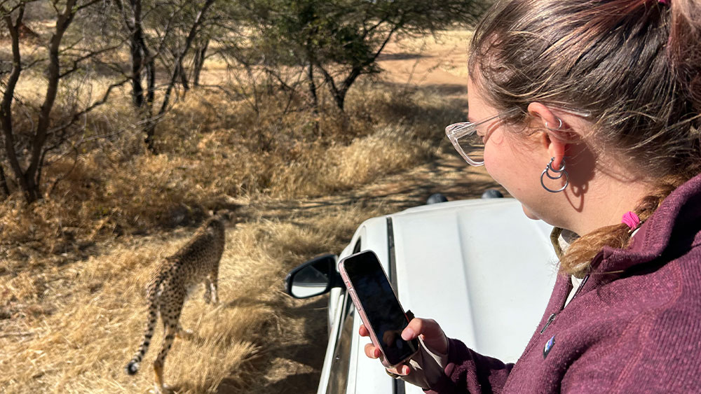 How Do You Outrun Extinction?