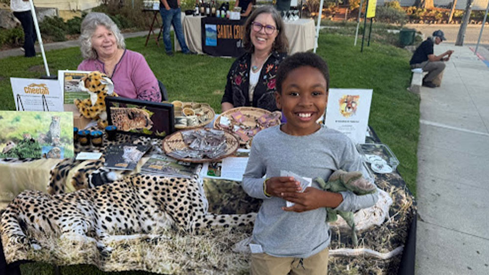 Wesley’s Cheetah Social Survey