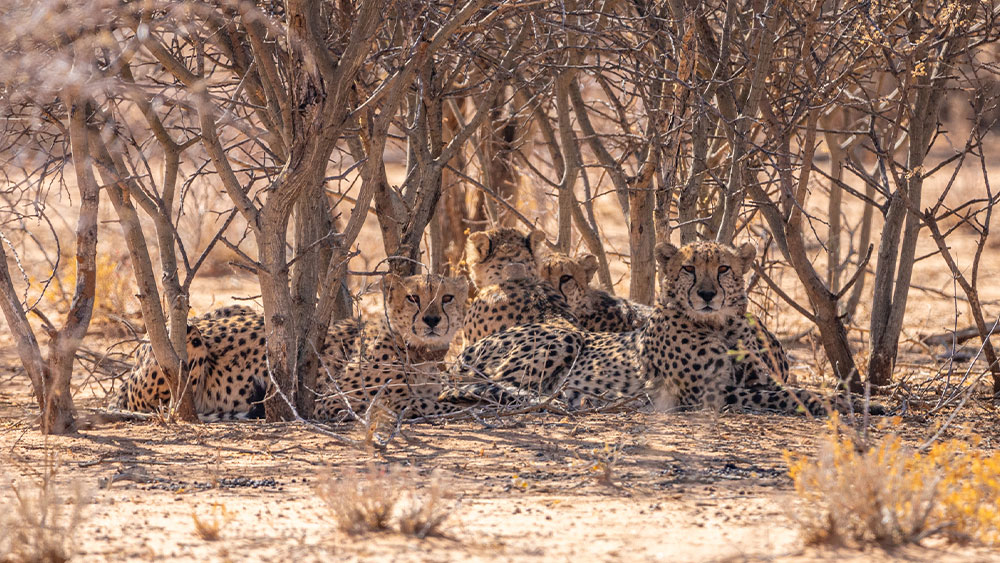 You Power Every Success Story