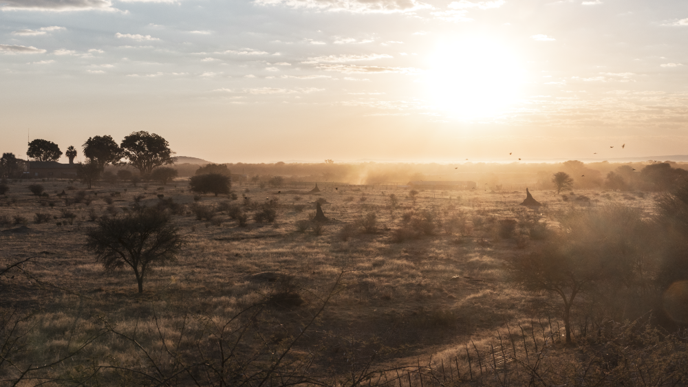 Thank You for Making Home Range for the Holidays a Success