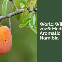 world wildlife day 2026 CCF