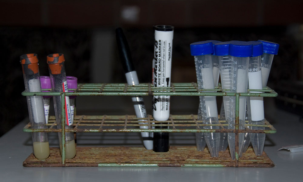 Cheetah biological samples stored at CCF's genetics laboratory in Namibia for forensic analysis and policy-supporting research