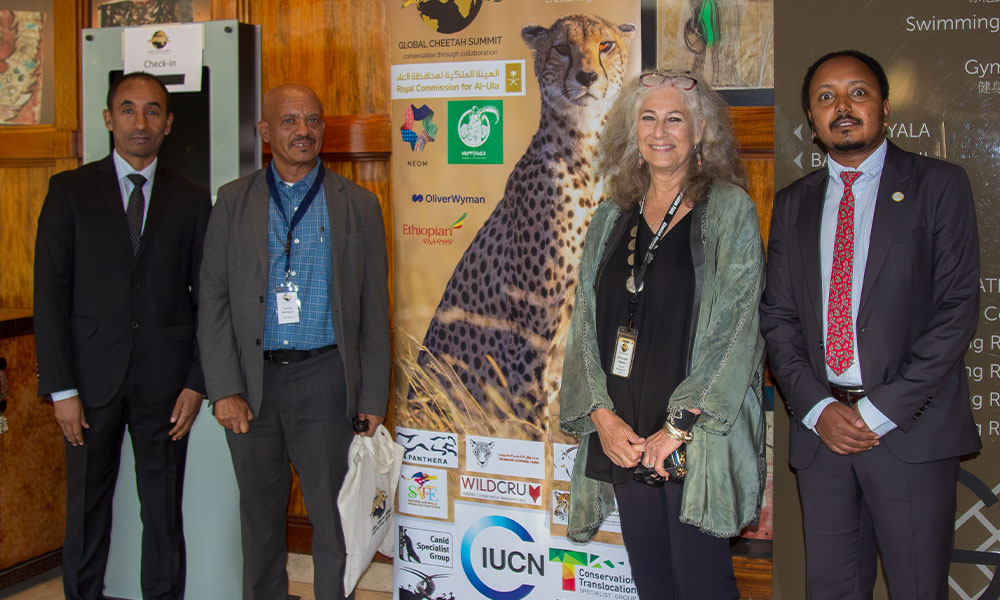 Delegates at the 2024 Global Cheetah Summit in Addis Ababa representing 23 cheetah-range countries