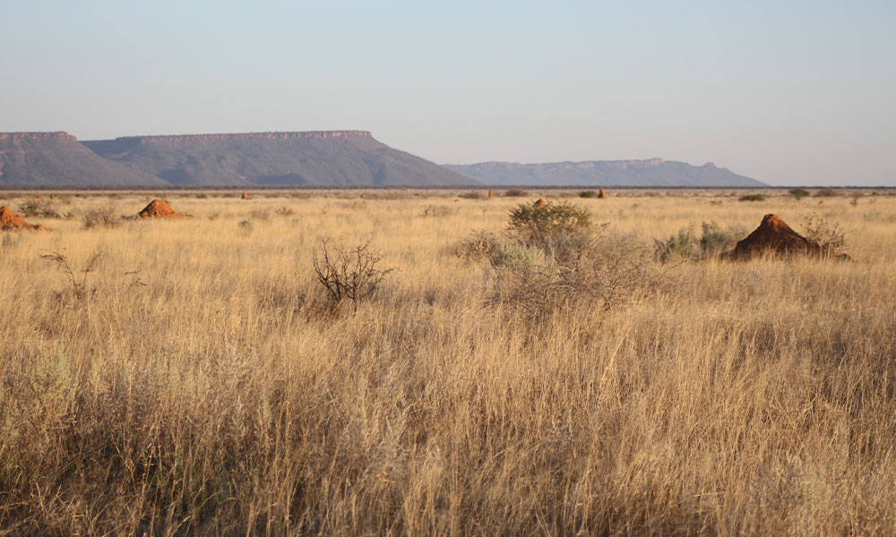 The Greater Waterberg Landscape surrounding CCF's International Research and Education Centre in Namibia