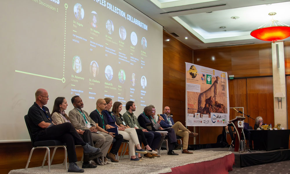Expert panel on stage at CCF's 2024 Global Cheetah Summit in Addis Ababa