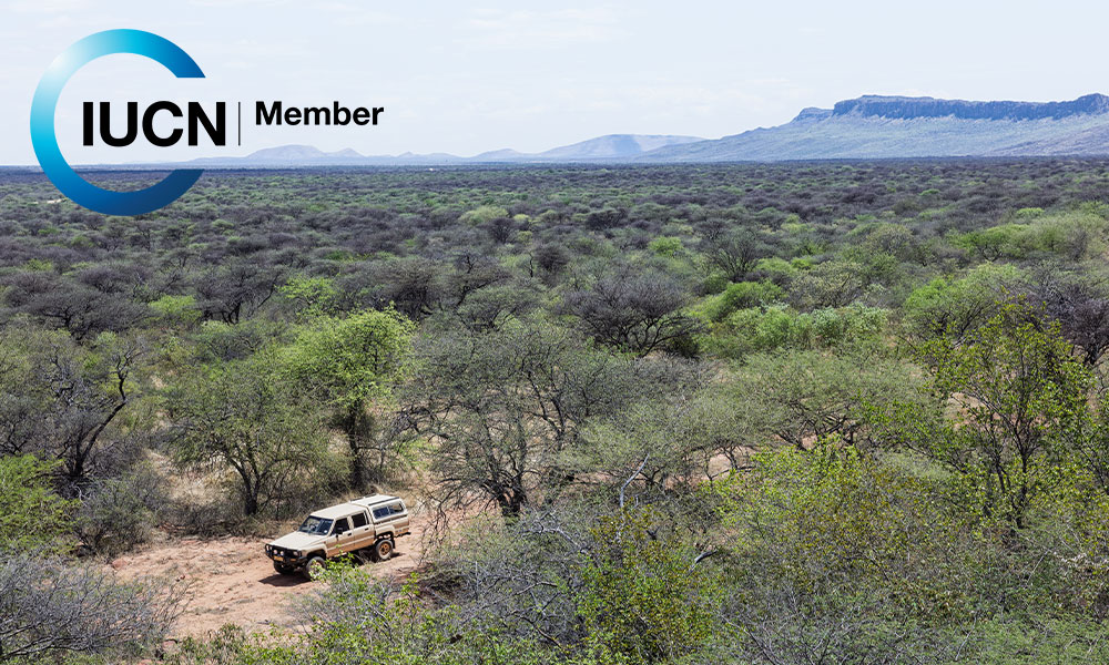 CCF ecology team vehicle surveying the landscape near the Waterberg Plateau in Namibia