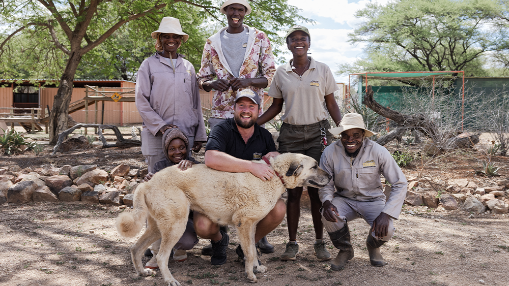 Cheetah Conservation Fund (CCF) is Being Considered for Best of Namibia Award!