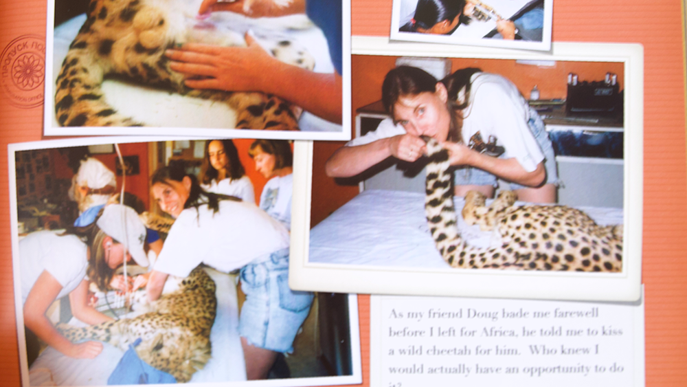 1998 and 2026: Seeing the Cheetah Conservation Fund Through Camille’s Eyes