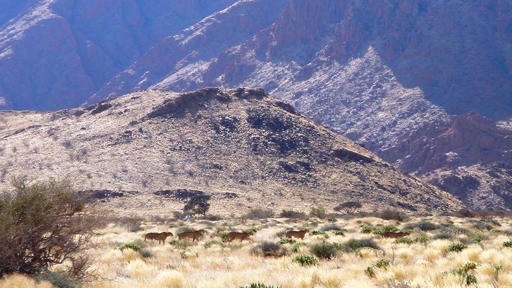 Working Landscapes, Living Ecosystems