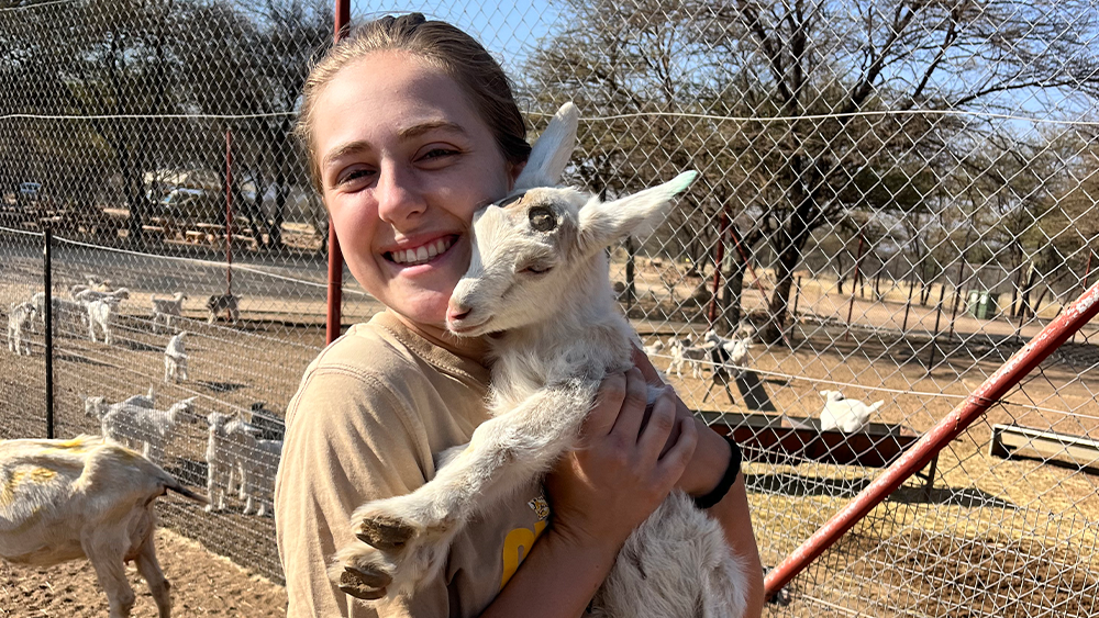Guard Dogs, Camera Traps, and the Community I Didn’t Expect